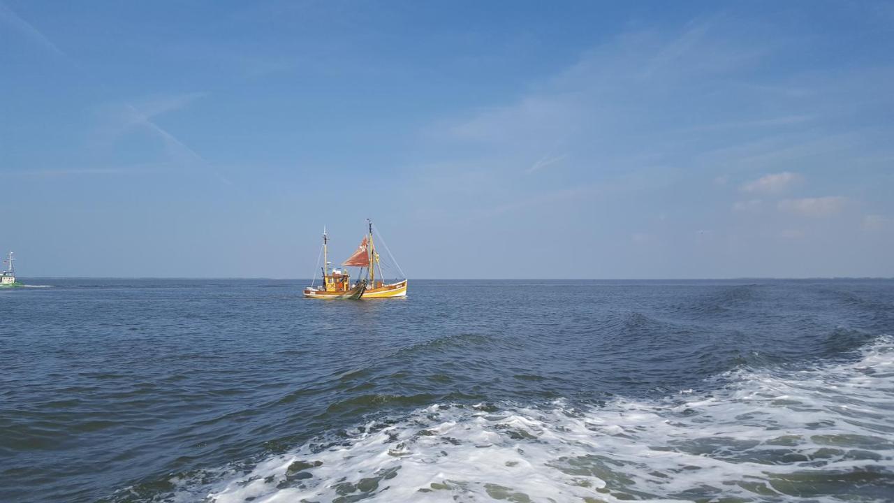 Nr 201 - Ferienhaus Am Tief Neuharlingersiel Zewnętrze zdjęcie